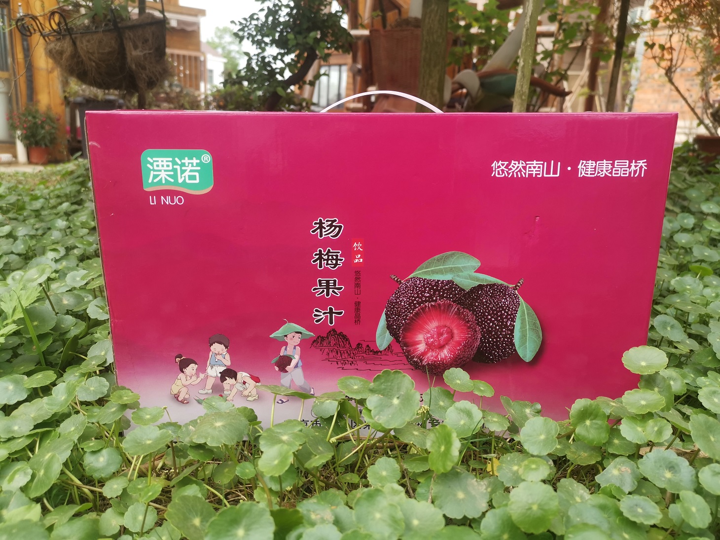 杨梅汁礼盒(5瓶装)