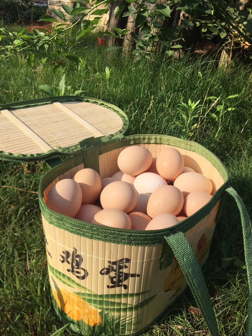 初生蛋(60个装)